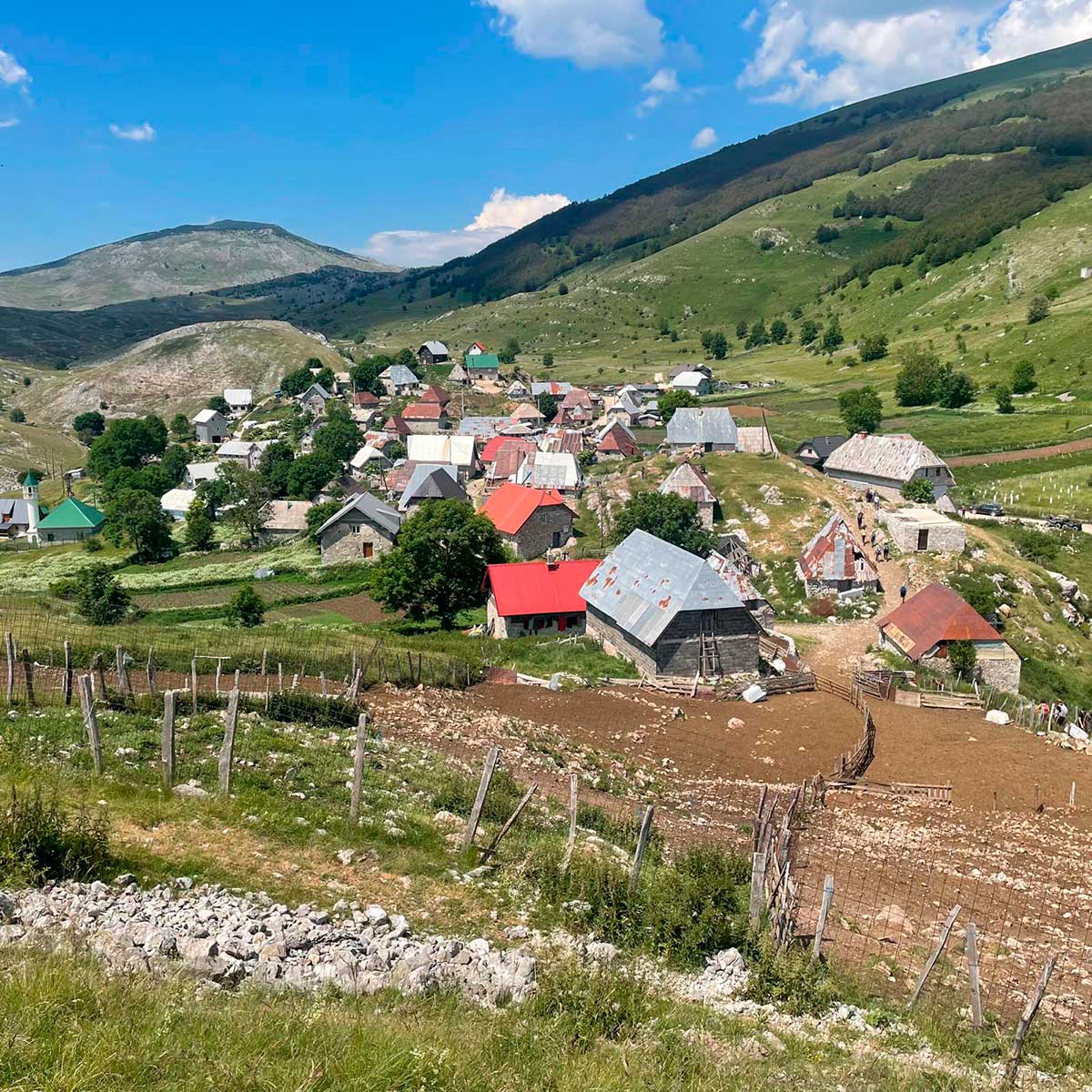 Bosna