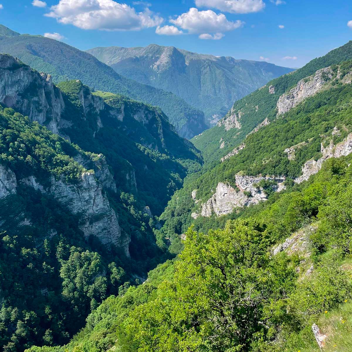 Bosna