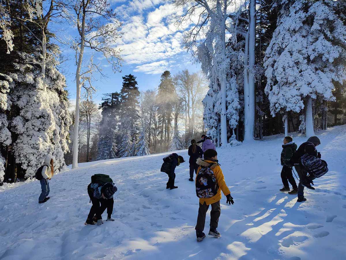 Medvednica, Ježići