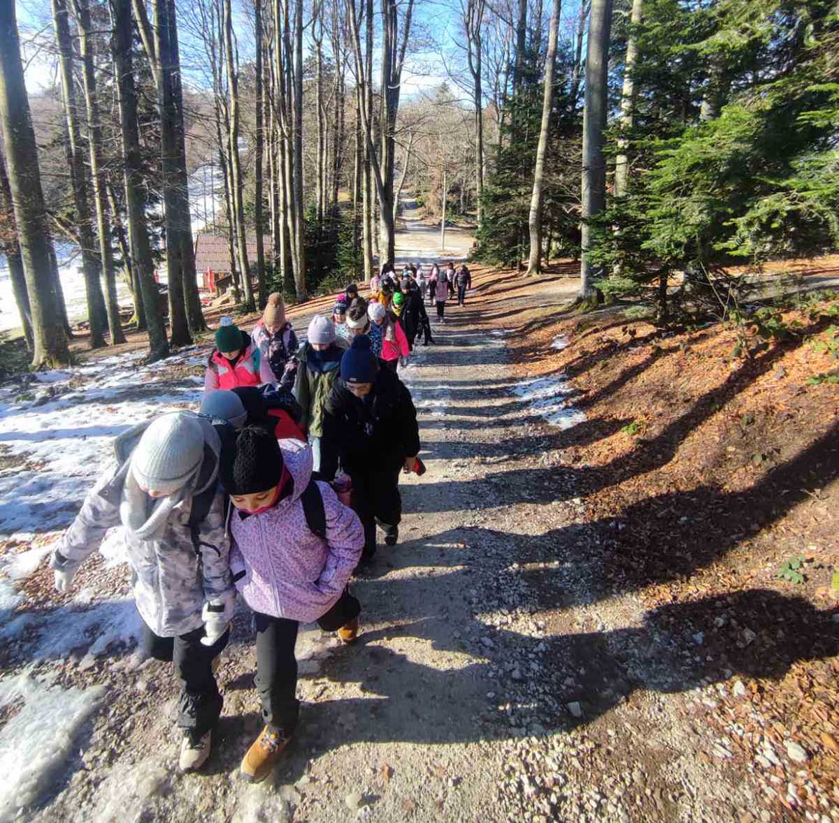 Medvednica, Ježići