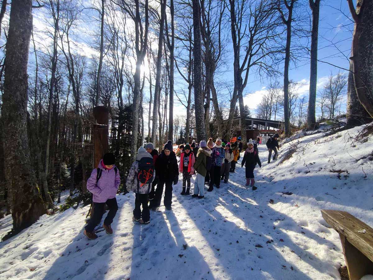Medvednica, Ježići