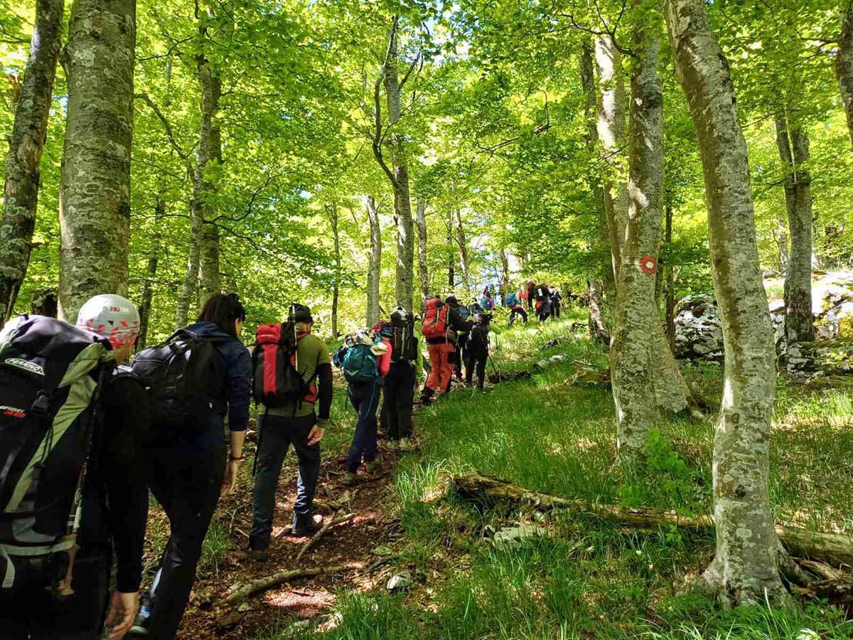 Srednji Velebit