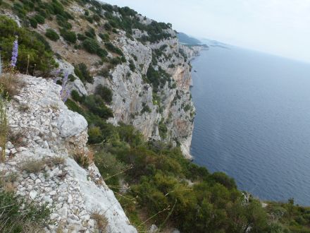 HPD Bilogora