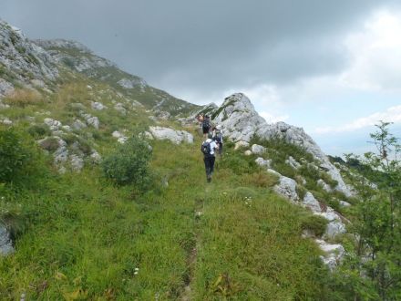 HPD Bilogora
