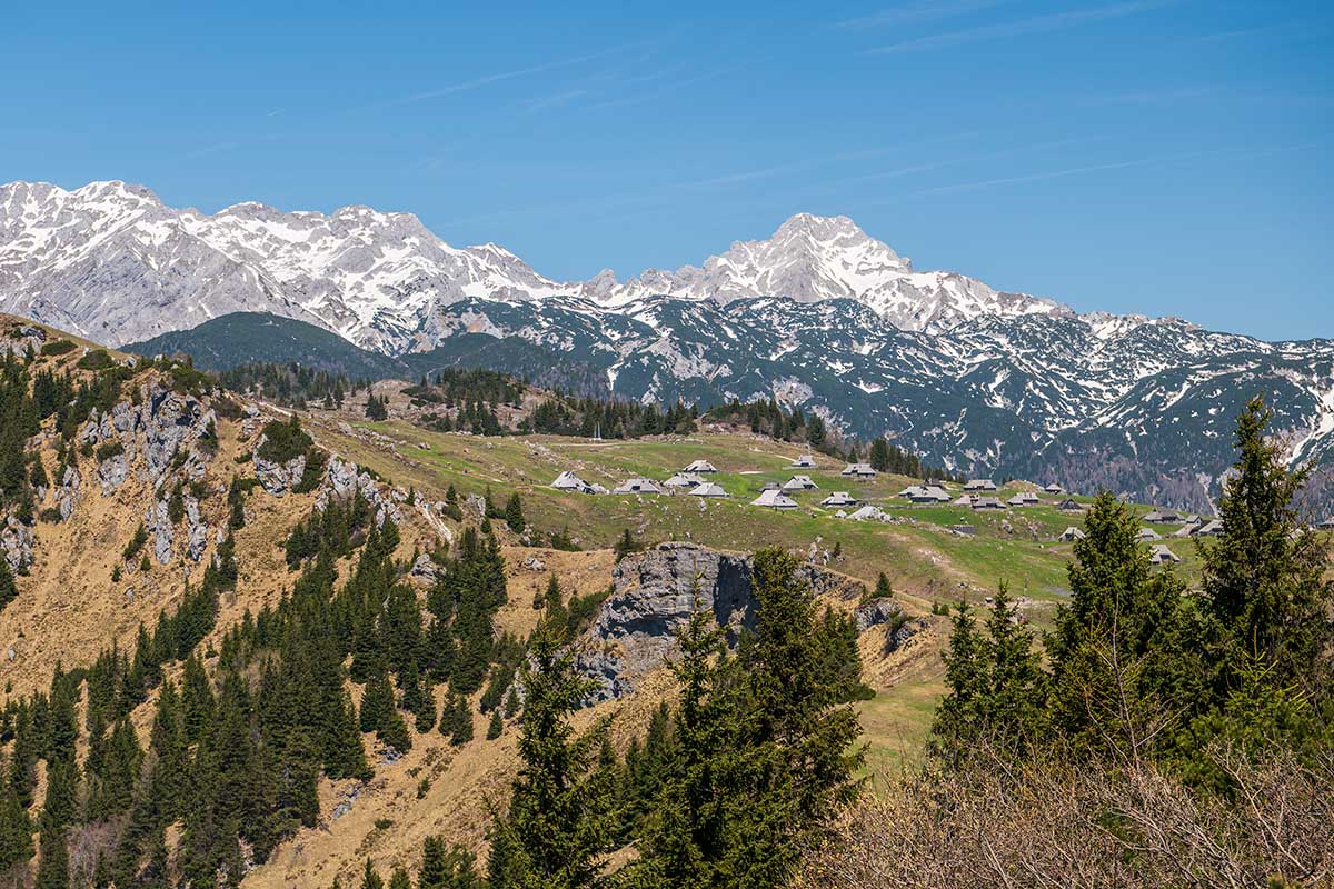 Velika planina
