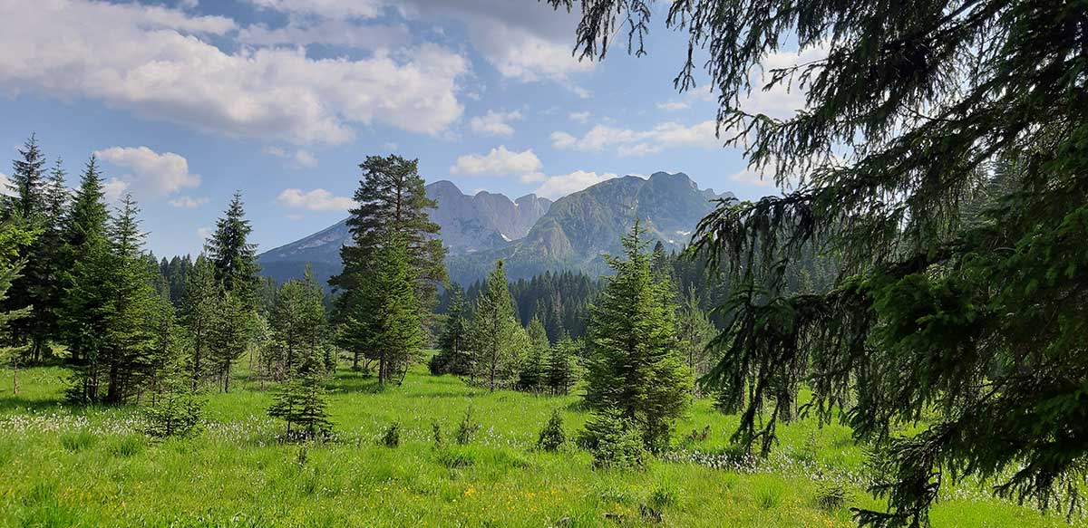 Durmitor