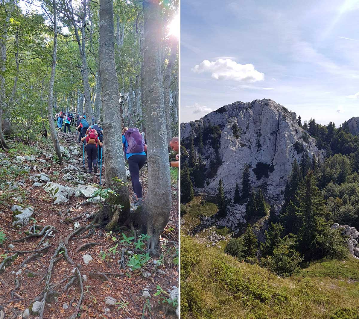 veliki kozjak