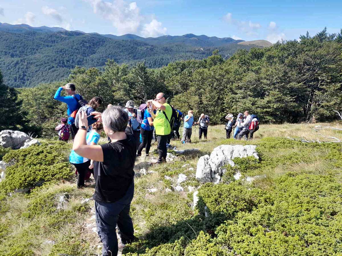 veliki kozjak