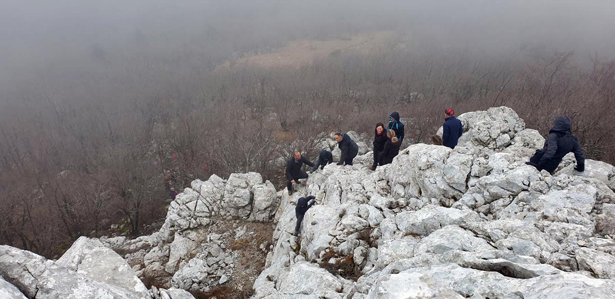 Medviđak