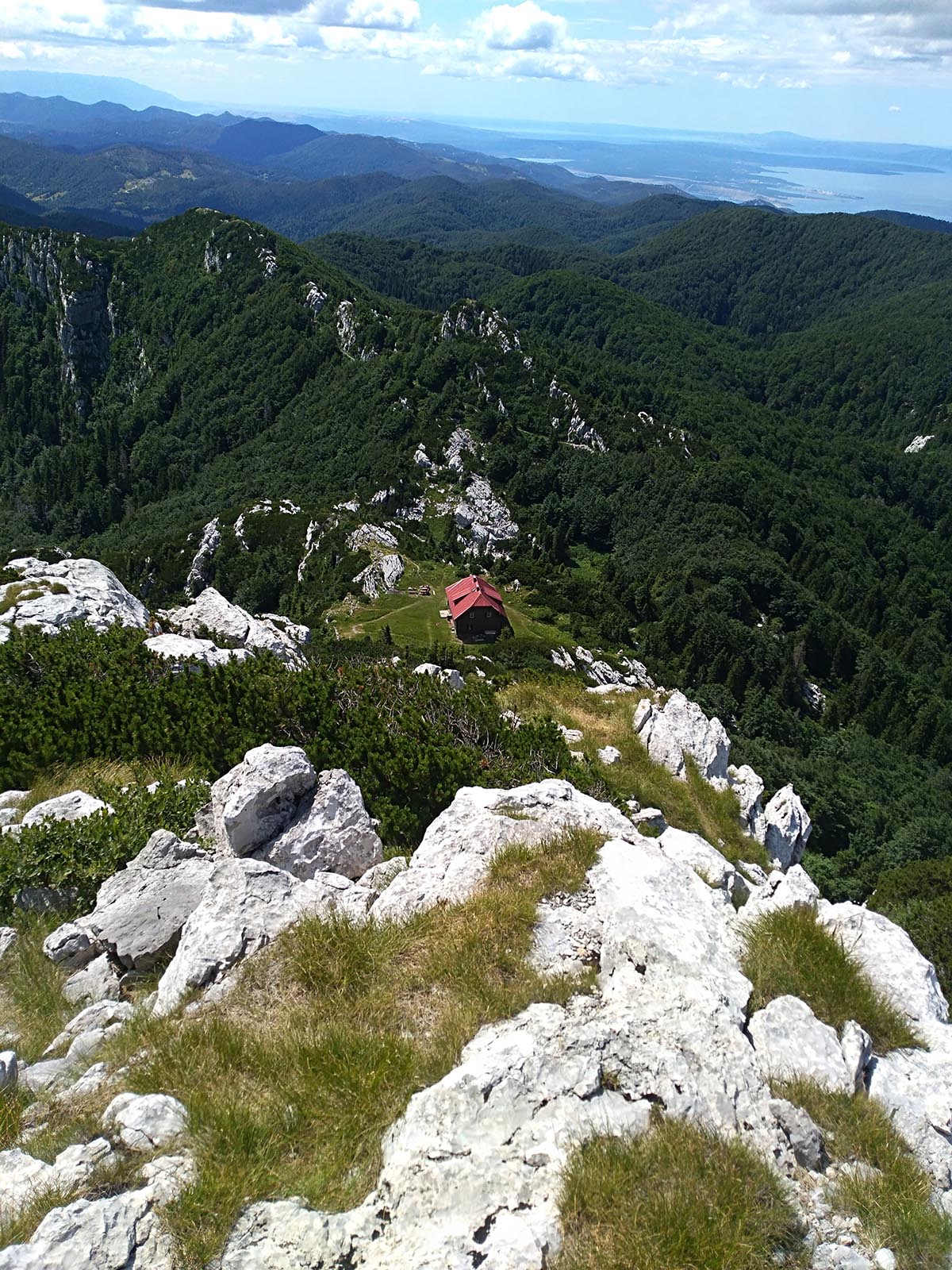 Risnjak
