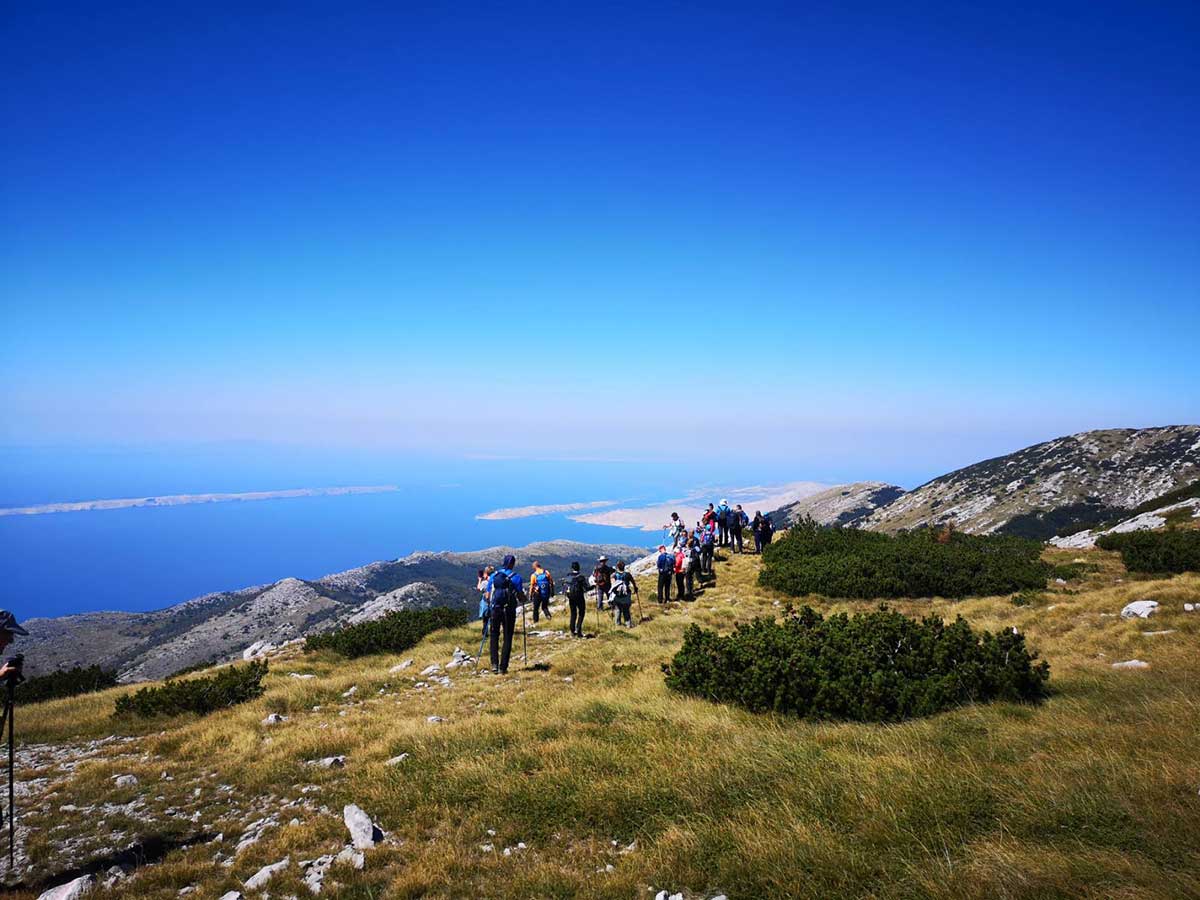 štirovača