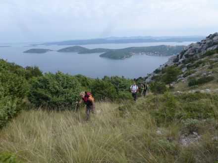 HPD Bilogora