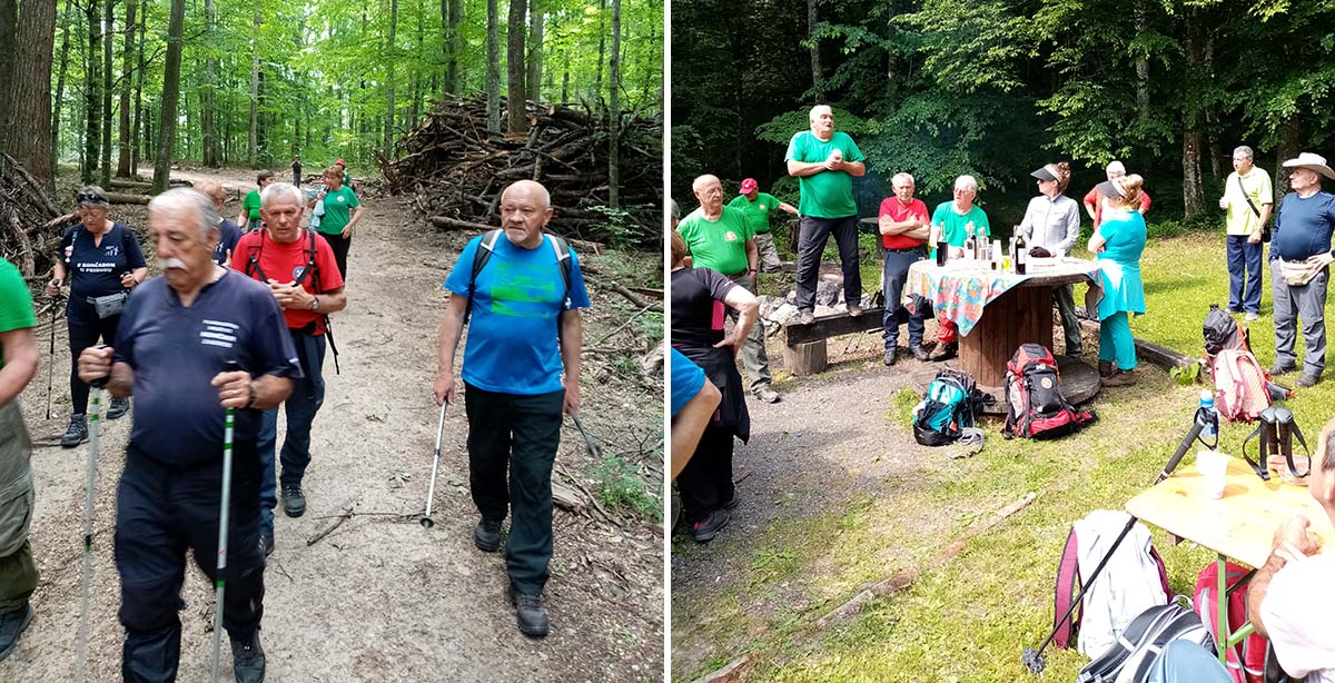 virovitički susreti